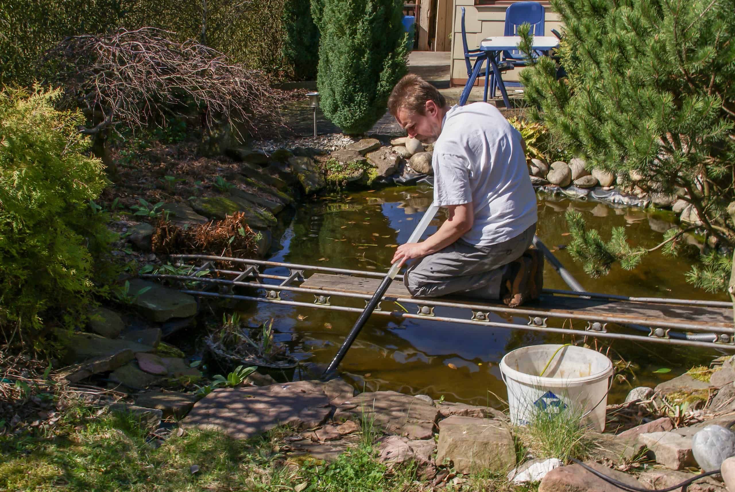 Formation of Pond Sludge and How You Can Remove It