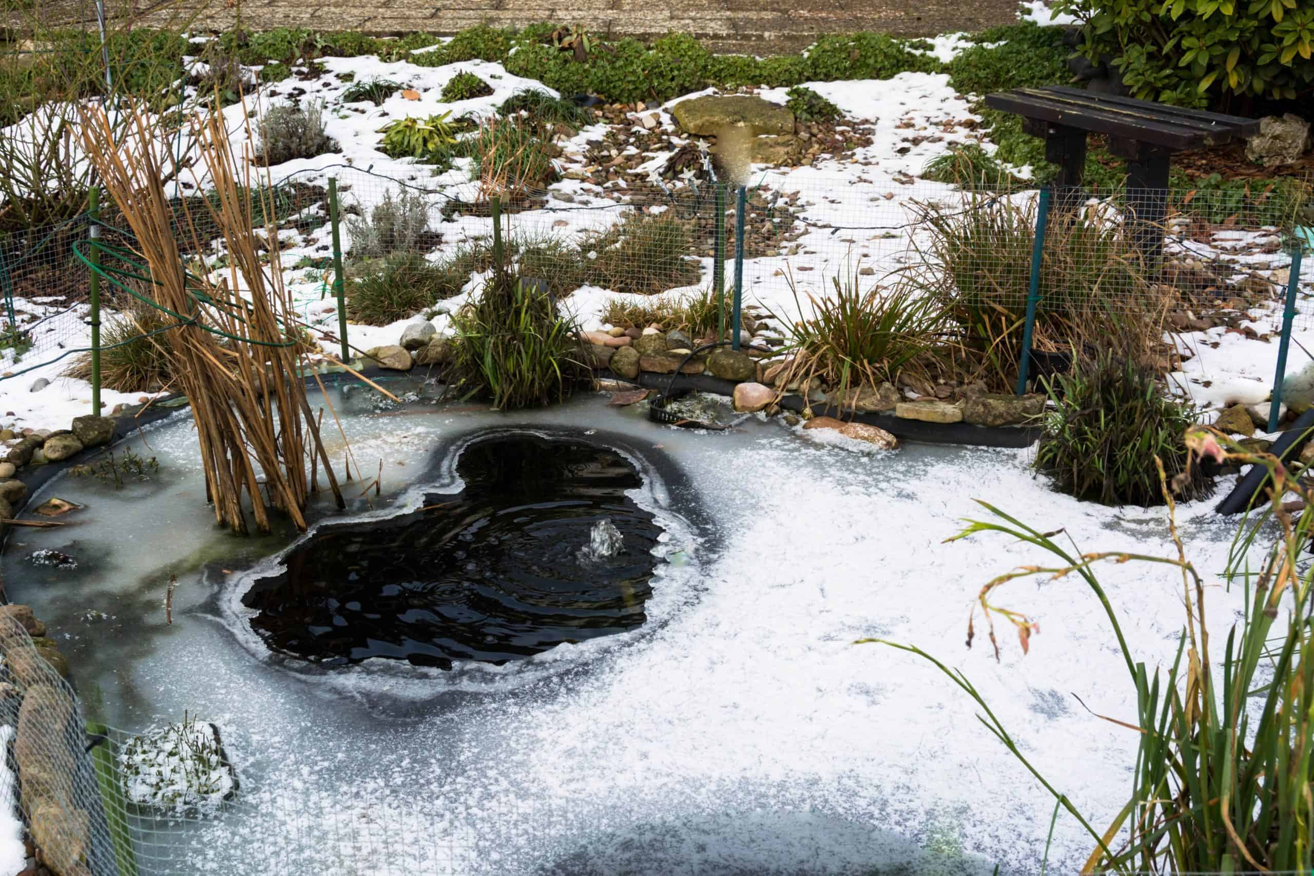 How to Winterize Your Garden Pond