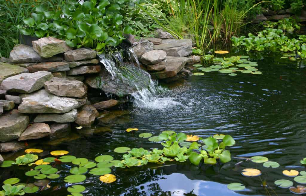 Pond design – planting pond sensible