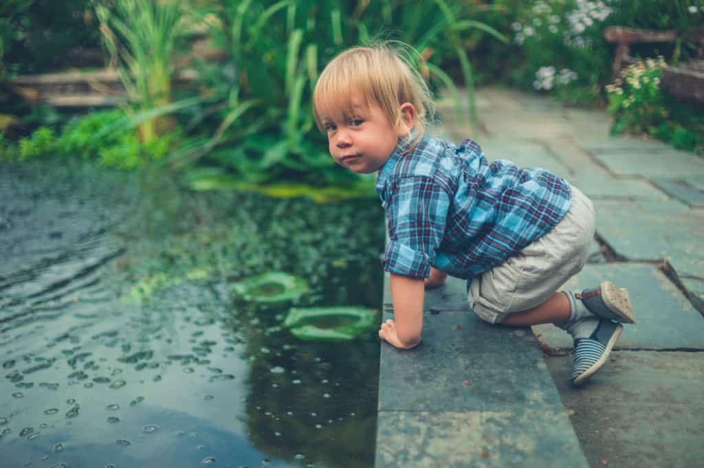 Childproofing your garden pond