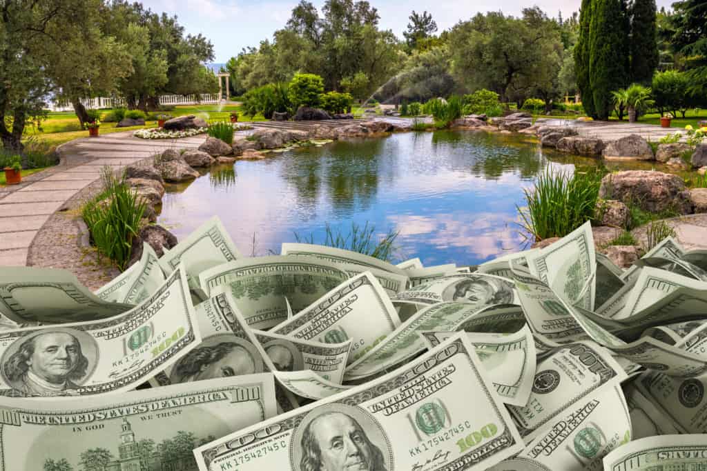 How much does a professional pond cleaning cost