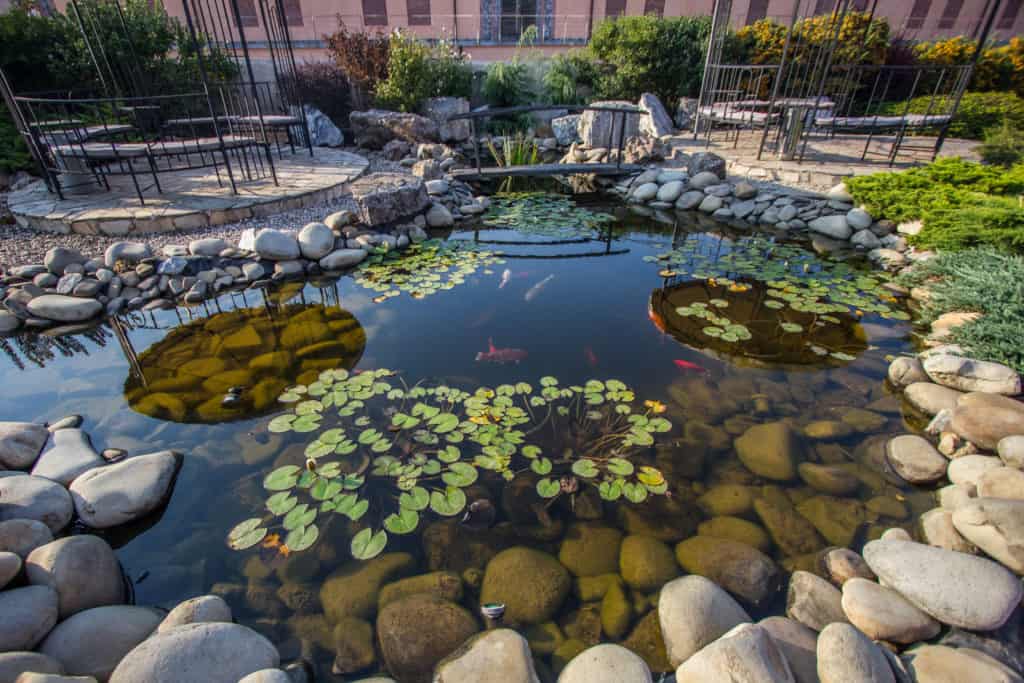 Nine different types of ponds for your garden
