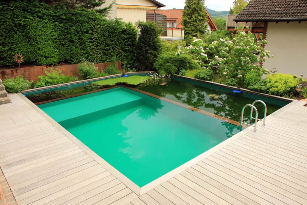 Swimming pond or natural pool in your garden