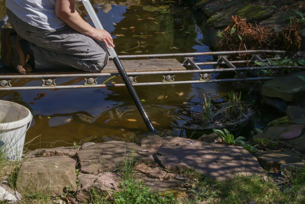 Ten mistakes when cleaning with a pond mud vacuum and how you avoid them