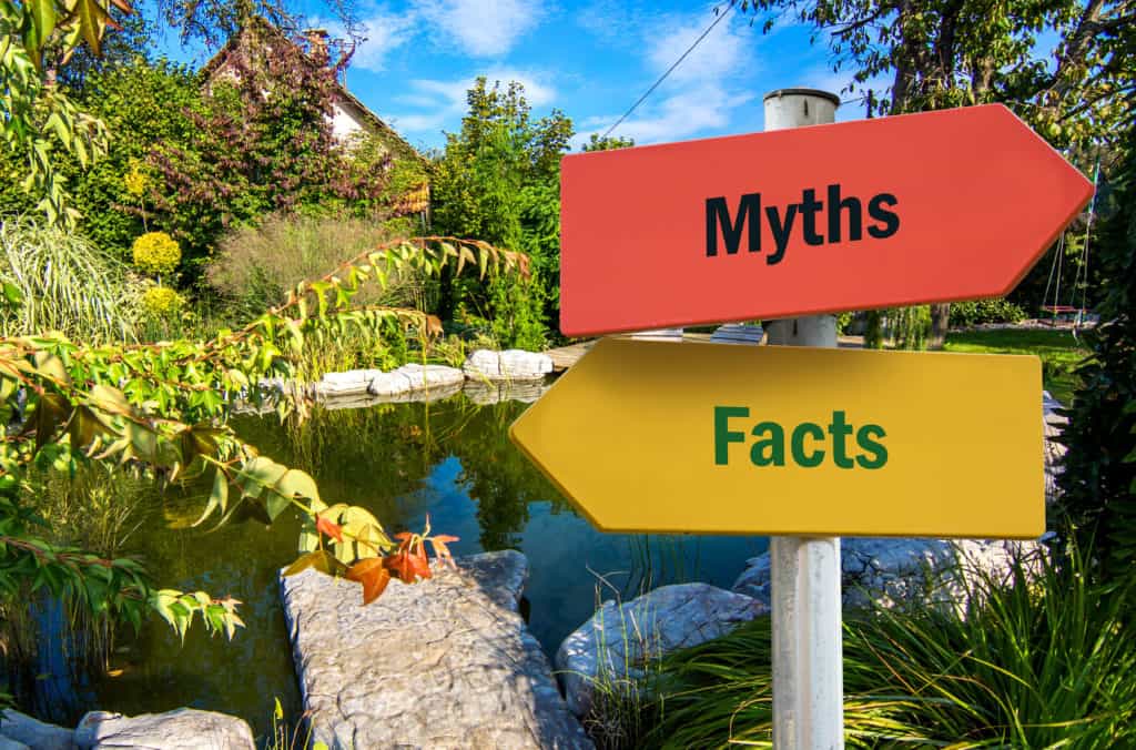 The 10 Biggest Myths About Garden Ponds and Their Care