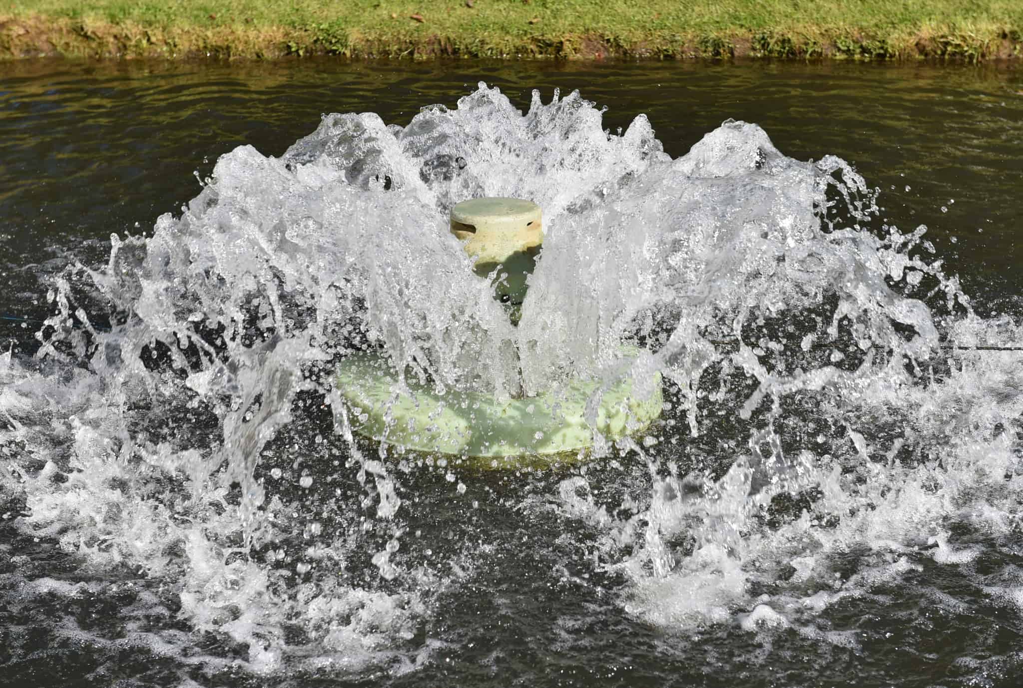 Advantages and Disadvantages of Pond Aeration