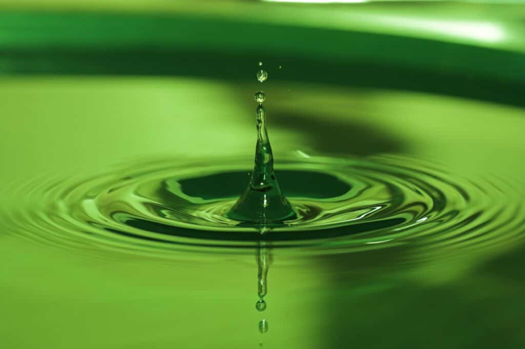 Why Does the Water in the Pond Turn Green