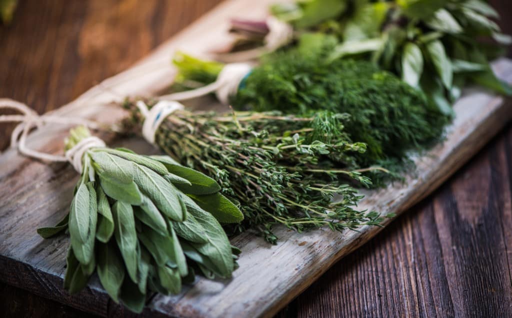 Cultivating Herbs Around and in the Garden Pond