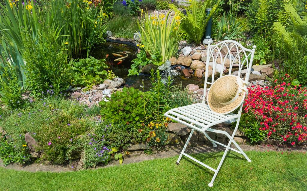 How to clean a small garden pond