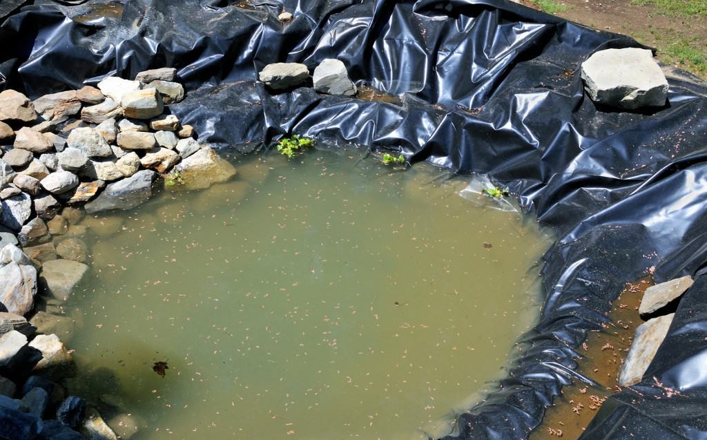 Pond Liner for the Garden Pond