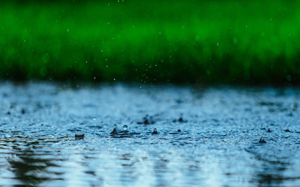 Rainwater in the Pond: Good or Bad