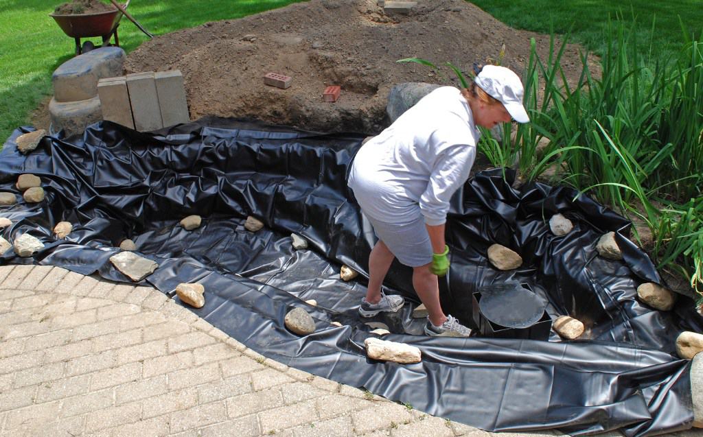 Shallow Water Zone in the Pond