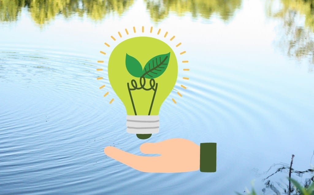 Ways to Save Electricity at the Pond