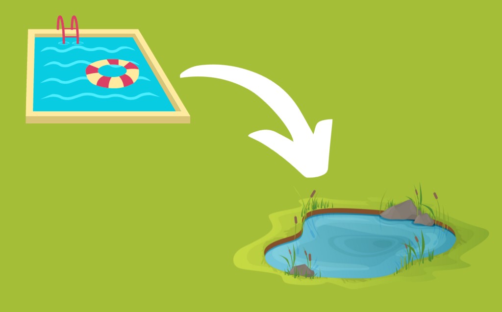 Turn a pool into a swimming pond
